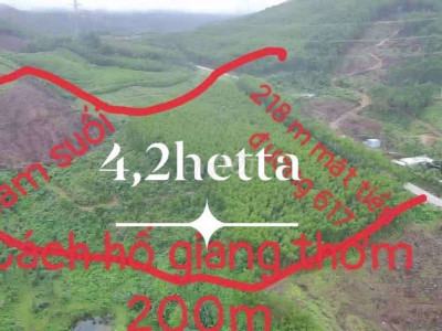 Hàng đẹp giá tốt 4.2 ha bám suối bám Mặt tiền đường 617