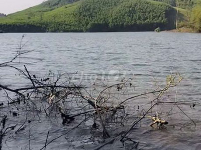 CC em chào bán lô đất vườn tam sơn Núi Thành wew sông  Mát mẻ