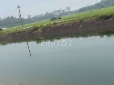 Bán nhà vườn view kênh chính tam Lộc giáp tam Phước