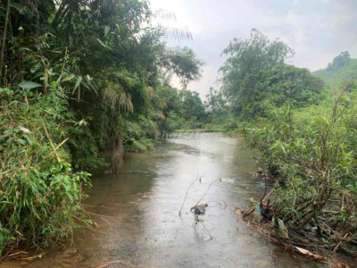 bán đất trồng cây bám suối phù hợp chuyển đổi đất ở