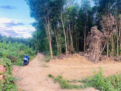 Cần bán lô đất Bình Quế, Thăng Bình