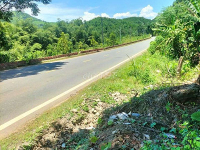 CẦN BÁN 3 HA RỪNG Mặt tiền ql14b Đại Sơn TP Đà Nẵng