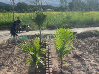 Bán lô đất nền TC ngang 12 ,330m, đường xe hơi,view đẹp giá tốt 790 tr