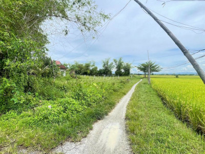 Bán lô đất đẹp chính chủ.Thăng Bình, Đà Nẵng. 280m ngang 10, 450 triệu