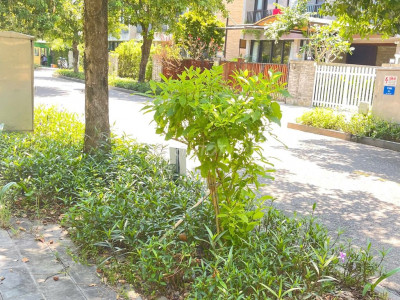 Bán lô đất đẹp cc: Đồng Dương,Thăng Bình giá mềm.ngang 12,790 triệu