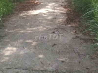 Cần cho thuê lô đất vườn tại xã quế châu, huyện Quế Sơn