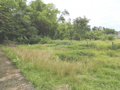 🔥 BÁN GẤP LÔ ĐẤT ĐẸP 210㎡ ĐÃ CÓ SỔ TẠI TRUNG TÂM HUYỆN PHÚ NINH 🔥