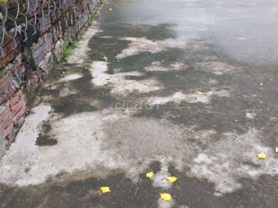 Đất thổ cư quanh năm cao ráo