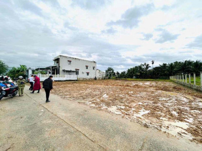 🚗 ĐẤT MẶT TIỀN ĐẠI HIỆP – GẦN TỈNH LỘ, GIÁ CHỈ 780 TRIỆU/LÔ! 🚗