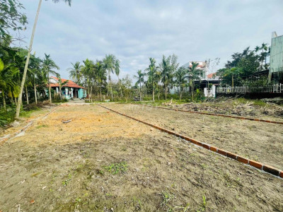 Điện Hồng - 150m2 Đất ở 100% giá 6xxtr gần đường chính 7m5