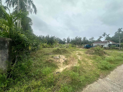 Đất sổ đỏ chính chủ 200m2, cách trục chính đường biển 500m