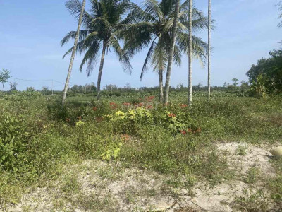 lô Đất đẹp diện tích lớn view lúa xã Bình Giang, Thăng Bình