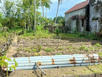 Lô đất phù hợp đầu tư, xây villa, căn hộ...