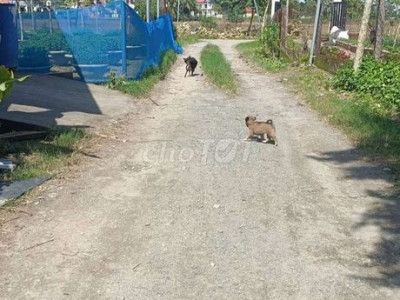 Bán đất Hà Đông,phường điện bàn bắc gần vành đai