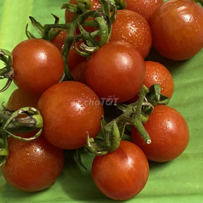 Nhà nguyên căn,đường số 2,bên cạnh cf Gia Linh