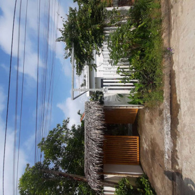 Cho thuê nhà nguyên căn