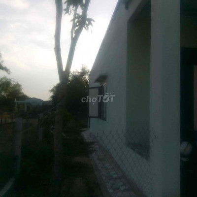 cho thuê nhà 1 trệt