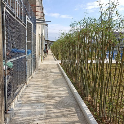 Cho thuê nhà hai mặt tiền đường nguyễn văn trỗi