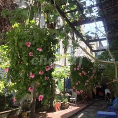 Nhà Nguyễn Duy Hiệu thích hợp kinh doanh,VP, spa