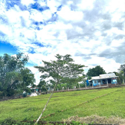 nhượng lại lô 194m2 gần dốc bồ bồ Điện Tiến chỉ 6x