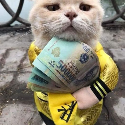 Mặt tiền đường DH3,sát chợ La Thọ-Điện Hòa,QN.