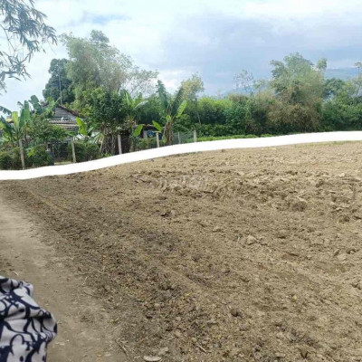 Mình có cụm gần 20 lô bố trí như hình tai Đại Lộc