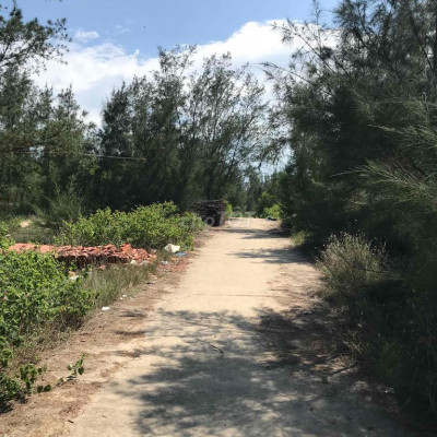 đất cây lâu năm 2 mặt tiền đường dân cư đông đúc