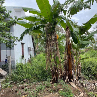 Bê tông Điện Ngọc không thể rẻ hơn