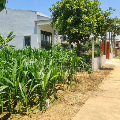 Đất Điện Bàn 300m2 ngang10  có sổ đường QH 15m