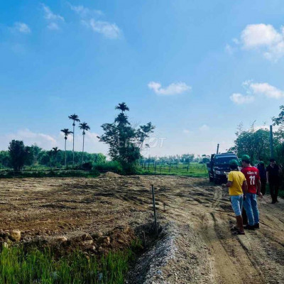 Tài Chính chỉ có 100 triệu Thì Nên mua Ngay Quý Mỹ