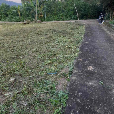 Hơn 2000m TT Đông Phú - Quế Sơn - Sổ hồng