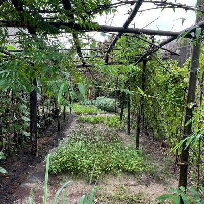 Chính chủ  bán lô đất  sạch, đẹp tại Thôn Phú Hải