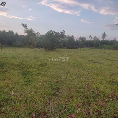 Đất sổ hồng 2600m2 gần ủy ban nhân dân xã bình quý