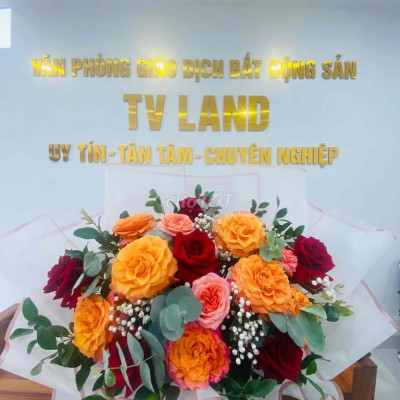 Mặt Tiền Đường 33m Nở Hậu Đường Hùng Vương