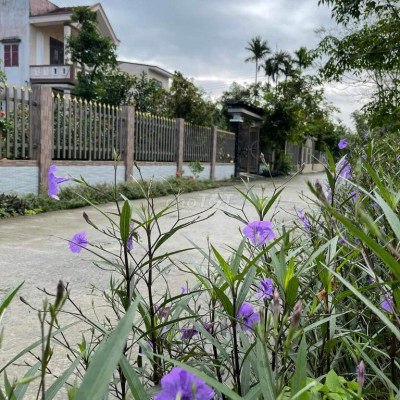 ĐIỆN PHƯỚC -BÁN R.Ẻ LÔ ĐẤT CÁCH CẦU BÌNH LONG 200m