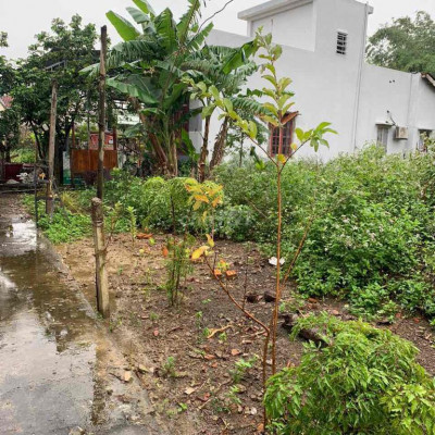 Đất Tứ Ngân Điện Ngọc 700 tr