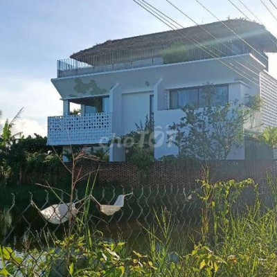 Đất Đẹp View Hồ Tôm - Cẩm Thanh ( 245m2)