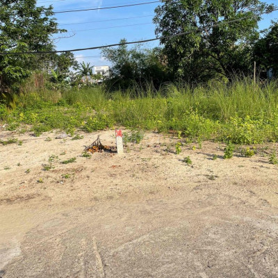 Bê tông chính Điện Nam Bắc dân cư san sát