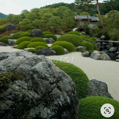 Bán khu đất mặt đường bê tông 4m, dài 85m