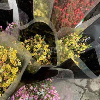 Đất Cạnh ĐH Nội Vụ giá 1,25 tỷ