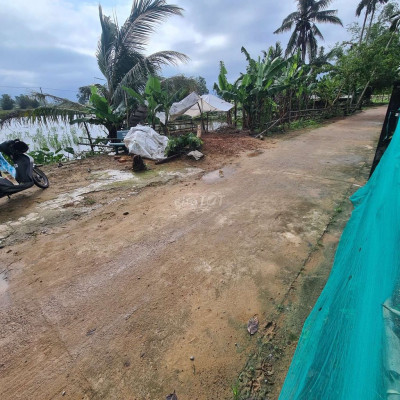 Lô đôi ngang 10m_300m2 đường 5m sát ĐT610B