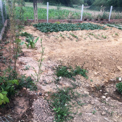 ĐẤT TRỒNG CÂY- KHU DÂN CƯ- MẶT TIỀN NHỰA