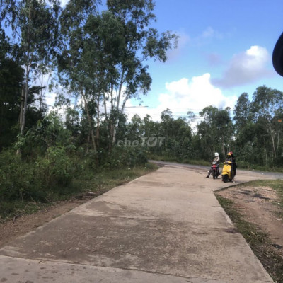 Bán lô Điện Hồng Quảng Nam 175m2 chỉ 570tr.