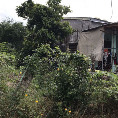 NGỘP LÃI BÁN R.Ẻ LÔ ĐẤT VƯỜN THĂNG CÓ 200m2 THỔ CƯ