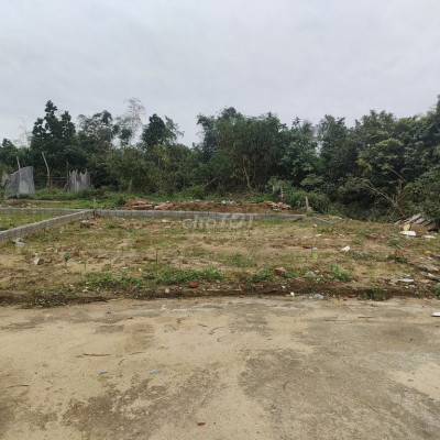 ĐÂT ĐIỆN HOÀ GIÁ RẺ- CẦN TIỀN MUA BÁNH CHƯNG TẾT