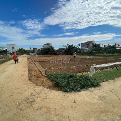 Đạu Hiệp Giáp Hoà Khương Đường To giá 6xx
