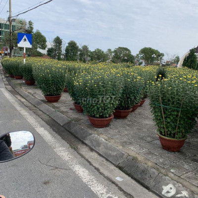 Bán lô bê tông thông Phạm Như Xương Điện Ngọc