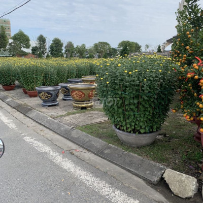 Bán lô đất trục chính thông Nguyễn Sinh Sắc và PNX