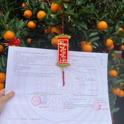 Khai lộc đầu năm Quý Mão 2023 🌹🌹🧧🧧tặng 1 chỉ vàng