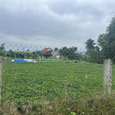 Bán đất Điện Hoà - ven Đà Nẵng - đất vùng ven